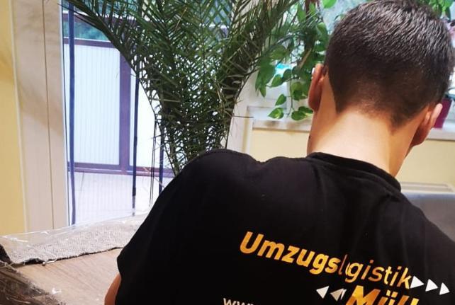 Preise für Ihren Studentenumzug in Schönwölkau